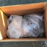 Электрический насос 230 В для масла серии «ROTOPUMP». производительность 10,5 л / мин при 15 бар, 